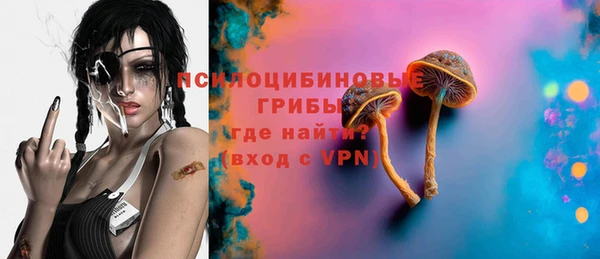 дурь Богородицк