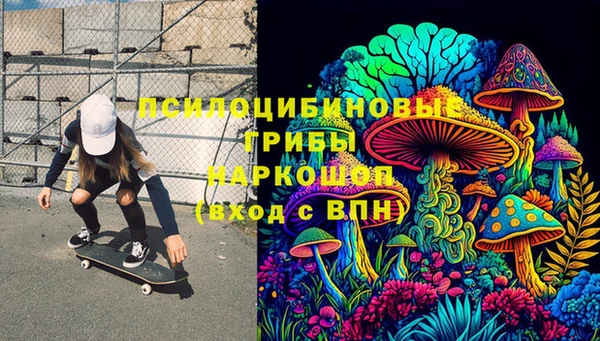 первитин Туринск