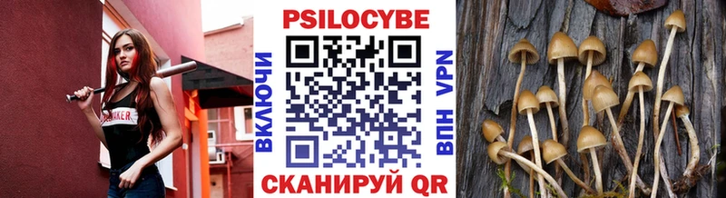 Галлюциногенные грибы мицелий  Краснокаменск 